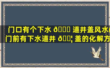 门口有个下水 🐝 道井盖风水(门前有下水道井 🐦 盖的化解方法)